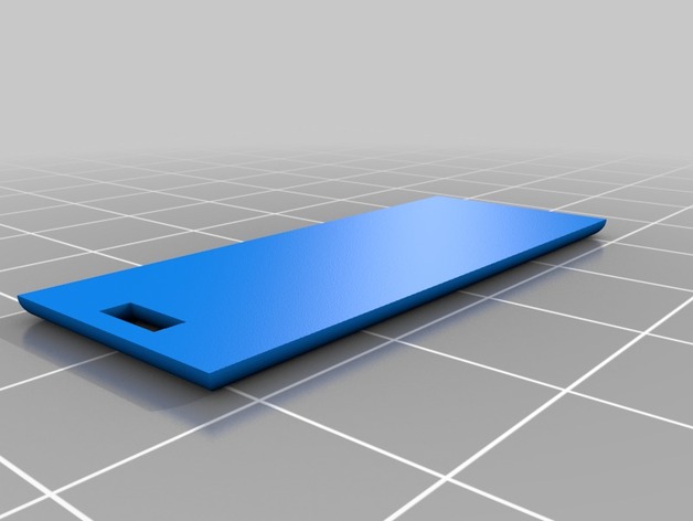 Lexar USB Stick Case
